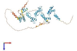 AlphaFold protein structure predicition of Human Recombinant ZNF517 Protein, UniprotID Q6ZMY9