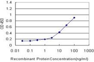 Detection limit for recombinant GST tagged FOXO3A is approximately 1ng/ml as a capture antibody. (FOXO3 antibody  (AA 361-460))