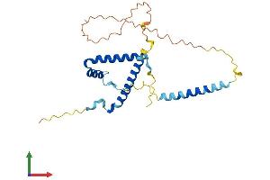 AlphaFold protein structure predicition of Human Recombinant GEMIN8 Protein, UniprotID Q9NWZ8 (GEMIN8 Protein (AA 1-242) (His tag))