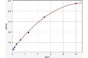 Myosin Heavy Chain 1, Skeletal Muscle, Adult (MYH1) ELISA Kit