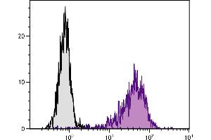 TNFα stimulated human endothelial cell line HUV-EC-C was stained with Mouse Anti-Human CD106-PE. (VCAM1 antibody  (PE))