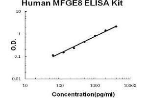 Human MFGE8/Lactadherin PicoKine ELISA Kit standard curve