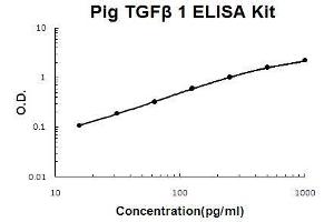 Pig TGF beta 1 PicoKine ELISA Kit standard curve