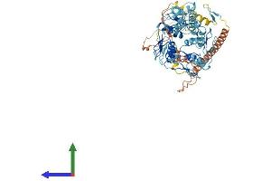 AlphaFold protein structure predicition of Human Recombinant ZNF273 Protein, UniprotID Q14593