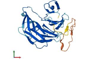 AlphaFold protein structure predicition of Human Recombinant LRP5L Protein, UniprotID A4QPB2 (LRP5L Protein (AA 1-252) (His tag))