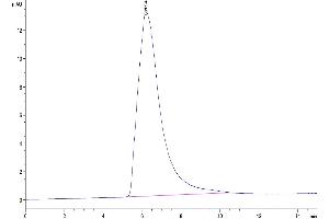 Size-exclusion chromatography-High Pressure Liquid Chromatography (SEC-HPLC) image for CD226 (CD226) (AA 19-247) protein (Fc Tag) (ABIN7274457)