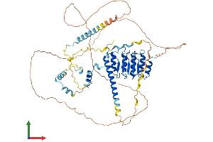 Protein Structure (PS) image for Leiomodin 1 (LMOD1) (AA 1-600) protein (His tag) (ABIN7549155)