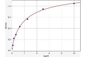 Typical standard curve (CSN2 ELISA Kit)