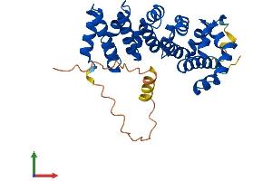AlphaFold protein structure predicition of Mouse Recombinant Armc10 Protein, UniprotID Q9D0L7 (ARMC10 Protein (AA 1-306) (His tag))