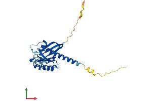Protein Structure (PS) image for Ras-Like Without CAAX 1 (RIT1) (AA 1-219) protein (His tag) (ABIN7556720)
