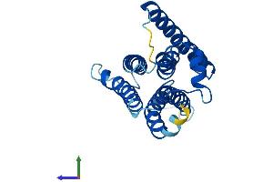 Protein Structure (PS) image for Phosphatidylinositol Glycan F (PIGF) (AA 1-219) protein (His tag) (ABIN7562245)