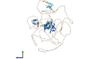 AlphaFold protein structure predicition of Human Recombinant ZC3H12C Protein, UniprotID Q9C0D7 (ZC3H12C Protein (AA 1-883) (His tag))