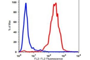 Flow Cytometry (FACS) image for anti-CD90 (THY1) antibody (Biotin) (ABIN3071872) (CD90 antibody  (Biotin))