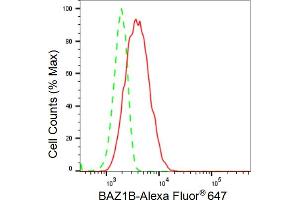 Flow cytometric analysis of BAZ1B expression in HeLa cells using BAZ1B antibody (ABIN7797797), 1:2,000). (Recombinant BAZ1B antibody)