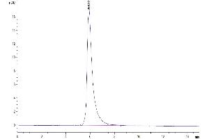The purity of Human BTN3A3/BTF3 is greater than 95 % as determined by SEC-HPLC.