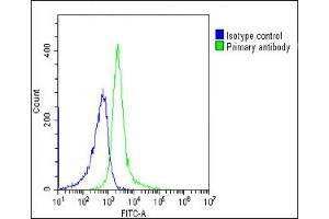 Overlay histogram showing Ramos cells stained with (ABIN654092 and ABIN2843978)(green line). (BACH2 antibody  (C-Term))