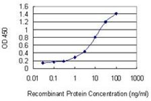 Detection limit for recombinant GST tagged PTPRN is 0. (PTPRN antibody  (AA 205-311))