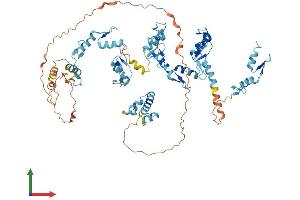 AlphaFold protein structure predicition of Human Recombinant ZNF7 Protein, UniprotID P17097