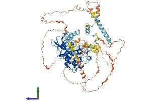 Protein Structure (PS) image for NIMA-Related Kinase 5 (NEK5) (AA 1-708) protein (His tag) (ABIN7549783)