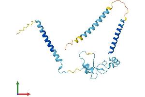 AlphaFold protein structure predicition of Mouse Recombinant rp9 Protein, UniprotID P97762