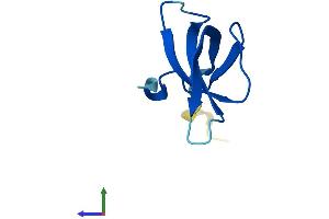 AlphaFold protein structure predicition of Mouse Recombinant Rps28 Protein, UniprotID P62858 (RPS28 Protein (AA 1-69) (Fc Tag))