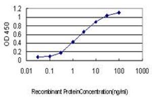 Detection limit for recombinant GST tagged STAC is approximately 0. (STAC antibody  (AA 209-318))