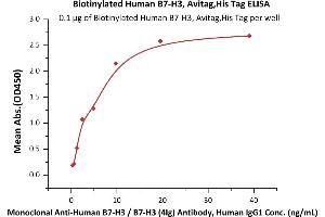 ELISA image for CD276 (CD276) (AA 29-245) protein (His tag,AVI tag,Biotin) (ABIN5674582)
