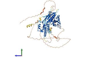 AlphaFold protein structure predicition of Human Recombinant RAP1GAP Protein, UniprotID P47736 (RAP1GAP Protein (AA 1-663) (His tag))