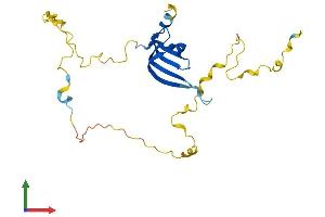 Protein Structure (PS) image for Small Nuclear Ribonucleoprotein Polypeptide N (SNRPN) (AA 1-240) protein (His tag) (ABIN7556650)