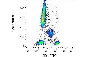 Flow cytometry surface staining pattern of human peripheral whole blood stained using anti-human CD4 (MEM-241) FITC (20 μL reagent / 100 μL of peripheral whole blood). (CD4 antibody  (N-Term) (FITC))