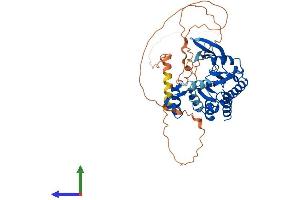 Protein Structure (PS) image for Inositol-Trisphosphate 3-Kinase A (ITPKA) (AA 1-461) protein (His tag) (ABIN7548534)