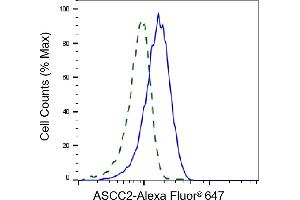Validation of ASCC2 knockdown using flow cytometry. (ASCC2 antibody)
