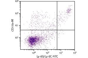 BALB/c mouse splenocytes were stained with Rat Anti-Mouse CD11b-PE. (CD11b antibody  (PE))