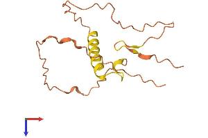 AlphaFold protein structure predicition of Human Recombinant ZNF295-AS1 Protein, UniprotID Q8N0V1 (ZNF295-AS1 Protein (AA 1-137) (His tag))
