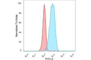 Flow Cytometric Analysis of PFA-fixed HeLa cells. (CELF2 antibody)