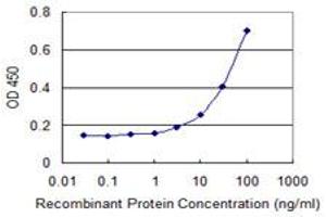 Detection limit for recombinant GST tagged SLC2A4 is 1 ng/ml as a capture antibody. (GLUT4 antibody  (AA 467-509))