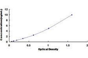 Glutamate Receptor, Ionotropic, N-Methyl D-Aspartate 1 (GRIN1) ELISA Kit