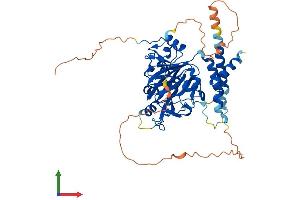 AlphaFold protein structure predicition of Human Recombinant HSPBAP1 Protein, UniprotID Q96EW2