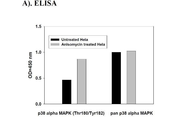 MAPK14 ELISA Kit