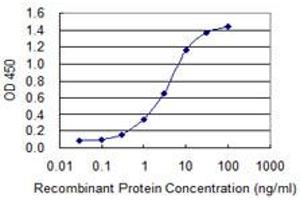 Detection limit for recombinant GST tagged TG is 0. (Thyroglobulin antibody  (AA 2659-2768))