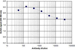 ELISA was performed using a serial dilution of BCL7C polyclonal antibody . (BCL7C antibody)
