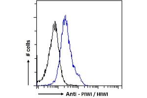 ABIN190916 Flow cytometric analysis of paraformaldehyde fixed HeLa cells (blue line), permeabilized with 0. (PIWIL1 antibody  (Internal Region))