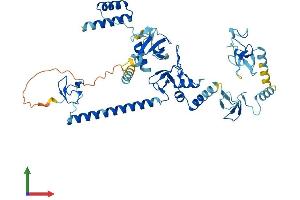 AlphaFold protein structure predicition of Mouse Recombinant Rbck1 Protein, UniprotID Q9WUB0