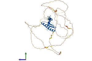 Protein Structure (PS) image for Myocyte Enhancer Factor 2A (MEF2A) (AA 1-498) protein (His tag) (ABIN7563887)