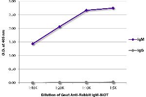 ELISA plate was coated with purified rabbit IgM and IgG. (Goat anti-Rabbit IgM (Heavy Chain) Antibody (Biotin))