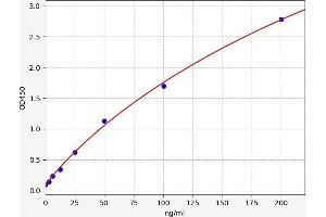 NTRK3 ELISA Kit