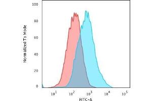 Flow Cytometric Analysis of PFA-fixed MCF-7 cells using p27 Mouse Monoclonal Antibody (SX53G8) followed by Goat anti- Mouse- IgG-CF488 (Blue); Isotype Control (Red). (CDKN1B antibody)