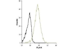 Cell surface detection of S1PR3 in Raji (human Burkitt's lymphoma) living cells: (black line) Unstained cells. (S1PR3 antibody  (Extracellular, N-Term))