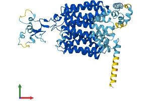 AlphaFold protein structure predicition of Human Recombinant SLC22A11 Protein, UniprotID Q9NSA0 (SLC22A11 Protein (AA 1-550) (His tag))