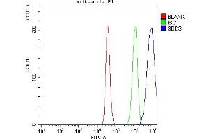 anti-Shwachman-Bodian-Diamond Syndrome (SBDS) (AA 19-241) antibody